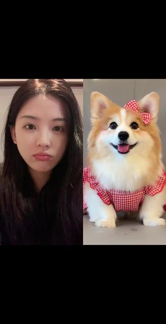 我和狗狗拥抱ai合照指令教程来啦!#和狗
狗合照#和宠物合照#宠物#豆包ai#豆包P图已经nextlevel了 和自己家狗狗合照和自己萌宠合照和狗狗拥抱合照 豆包p图指令和狗狗合照豆包萌宠ai和自己萌宠合照
豆包ai和狗狗合照狗狗合照 和狗狗相拥合
照和自家毛孩子ai合照和自己家狗狗合照
和自己萌宠合照 和狗狗拥抱合照 豆包p
指令和狗狗合照豆包萌宠ai和自己萌宠合
照豆包ai和狗狗合照狗狗合照 和狗狗相拥
合照和自家毛孩子ai合照和自己家狗狗合
照和自己萌宠合照和狗狗拥抱合照 豆包p
图指令和狗狗合照豆包萌宠ai和自己萌宠
合照 豆包ai和狗狗合照狗狗合照 和狗狗相
拥合照 和自家毛孩子ai合照和自己家狗狗
合照和自己萌宠合照和狗狗拥抱合照 豆包
p图指令和狗狗合照豆包萌宠ai和自己萌宠
合照 豆包a和狗狗合照狗狗合照 和狗狗相
拥合照和自家毛孩子ai合照