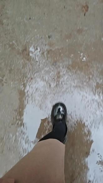 🌸我的国画第20课……
雨,又下了一夜!今天来临摹这幅《柳叶眉·皂荚》。女人柳叶眉,富贵相。这柳叶眉鸟呢,鸟中富贵相?!“不必说碧绿的菜畦,光滑的石井栏,高大的皂荚树,紫红的桑葚;也不必说鸣蝉在树叶里长吟,肥胖的黄蜂伏在菜花上,轻捷的叫天子(云雀)忽然从草间直窜向云霄里去了。”,鲁迅先生笔下那高大的皂荚树,我是见过的。记得小时候,每每到外婆家,跟着小姨去机井打水,那地方就有两颗高大的皂荚树,树干粗大,枝繁叶茂,小姨排队,我捡荚果玩。啊,画个画,记忆被拉到40多年前了。树干,叶子没问题,鸟头画小了。张老师对它做了一些调整,我上色的功夫,张老师画了一幅雅竹👍,非常感谢张老师🙏,吾将继续努力!回家揍饭啦……#国画 #想画就画 #原创作品 #记录美好生活