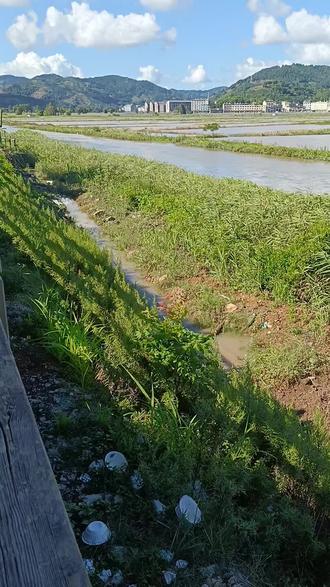 没班上无聊了,出来走走。自己寻找快乐,清唱一首歌