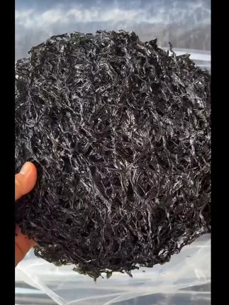 就是这个免洗紫菜,家里人都说好吃,它是免洗无沙的,品质非常好,而且都是精选头水紫菜,用它来做个紫菜蛋花汤或者凉拌紫菜都很合适,喜欢的朋友可以买来尝一尝。#紫菜