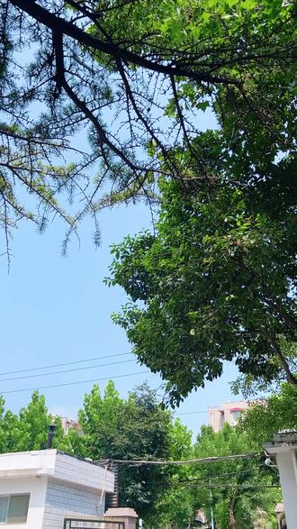 锂电到底怎么选?新能安4824高适配度锂电池,各项性能全优 #电动车锂电池 #锂电池怎么选择 #新能安锂电池 #4824原厂锂电池 #电动车电池