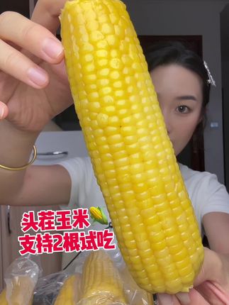 #粘玉米 #糯玉米 #低脂#玉米
