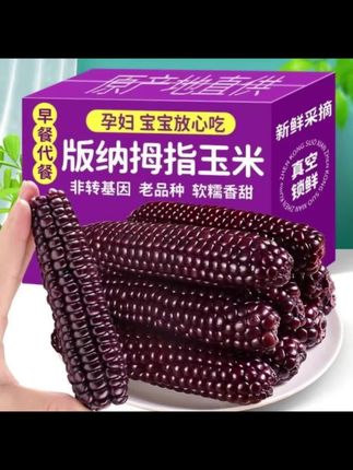 云南黑玉米紫糯拇指小玉米清甜香糯即食代餐紫色拇指真空包装玉:/ 米
