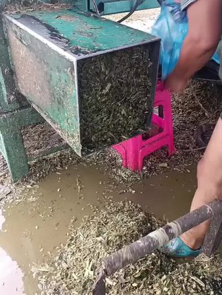 牛羊养殖户,如何储存青储草料!用玉米秸秆做青储饲料,青储设备用加厚青储袋#三农 #青储袋