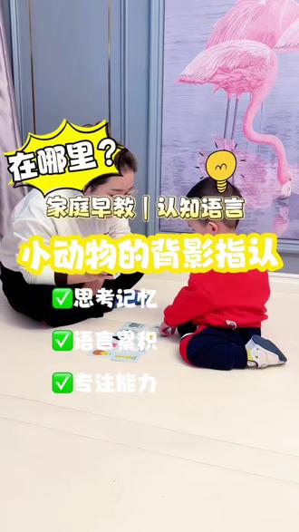 #人类幼崽学习日常 #创作者中心 #创作灵感 我们一起来看一看怎么做动物的匹配呢?#1V1入户早教#动物认知