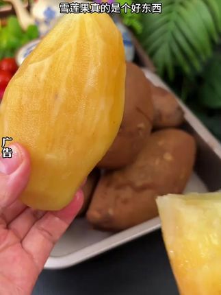云南天山雪莲果低糖应季水果甜脆多汁新鲜现挖3斤5斤9斤黄心雪连