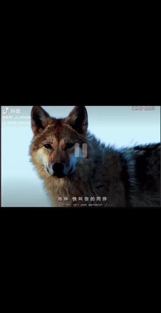 2026最生动的一课!