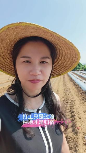 圣女果种植 打工只是过渡,种地才是归宿#我的乡村生活#新农人#圣女果种植#乡村振兴#记录真实种地生活