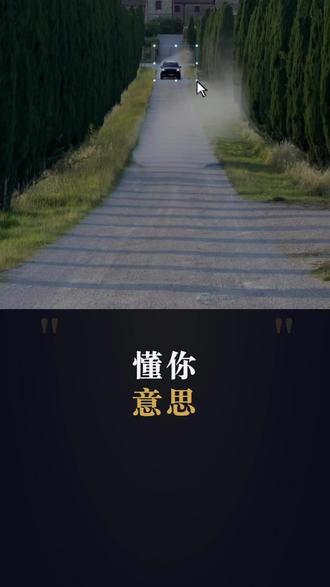 懂你意思,有懂的吗》dddd #新能源汽车 #广告 #营销思维
