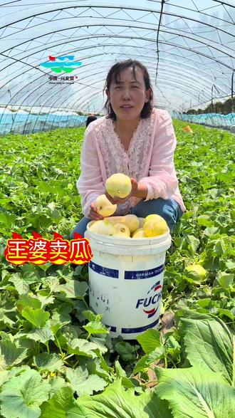 #兴安岭上兴安盟#兴安达人话兴安,王婆卖瓜.自卖自夸#农家美食 #甜香瓜 #农村生活