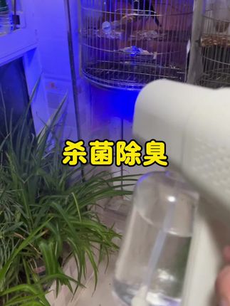 鸟笼杀菌消毒 宠物环境杀菌消毒除臭