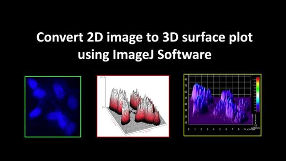 ImageJ: 2D变3D (案例-单原子站起来了) 每天学一个奇技淫巧:神通广大的ImageJ让2D图秒变3D立体
实际应用:比如好多小伙伴都好奇文献当中站起来的单原子如何画的(虽然没啥用,纯绘图炫技,竟然还有人高价收费帮做)
实操:框选中区域,ImageJ里面Interactive 3D suface plot按个人喜好修改调整即可
点个关注不迷路,持续分享科研学术写作绘图小妙招,助力早日成为顶刊收割机
感兴趣的小伙伴可以参考油管博主nrtTAYE,附上详细视频以供学习#科研绘图 #科研绘图代制作 #科研论文小技巧 #单原子 #imagej图像处理