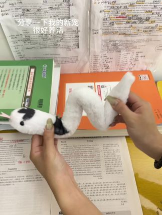 我的新宠可爱鼠了~#毛绒玩具 #也太可爱了吧 #呆萌可爱