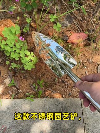 无磁不锈钢园艺铲