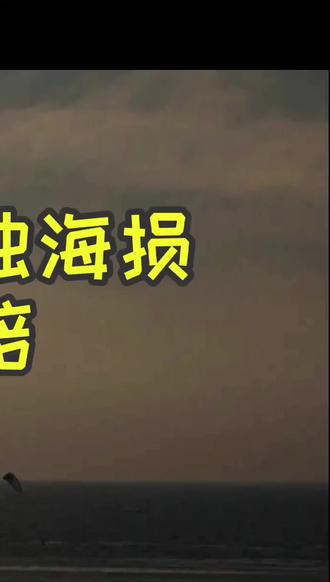 #保险 #海损 #共同海损 #海运保险#货运保险 海运保险中共同海损和单独海损的区别,理赔如何进行?