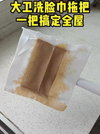 大卫拖把夹布拖把洗脸巾拖把自动夹干湿两用拖地家用免手洗小拖把#夹布拖把 #大卫拖把 #干湿两用拖把 #夹布拖把推荐