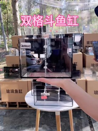 双格斗鱼缸#中间的隔板可以活动的,用一个过滤器一个加热设备就可以的,养鱼方便,价格实惠 #一缸多养