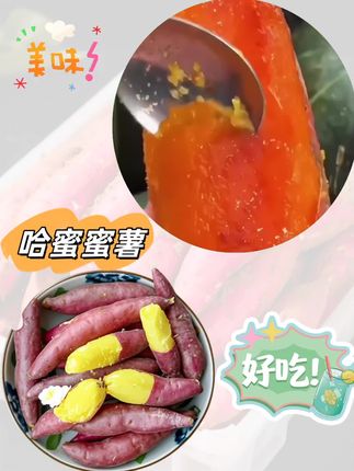 九月上线!正宗红心蜜薯,香甜软糯,早餐代餐都合适,一口满是自然的味道,营养又简约。蒸、烤、做甜品都美味,无筋无丝,老人小孩都爱吃~, ,#沙地蜜薯# #软糯香甜# #营养丰富# #老少皆宜#