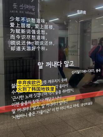 韩国是真稀罕咱们的文化 #辛弃疾 #诗词