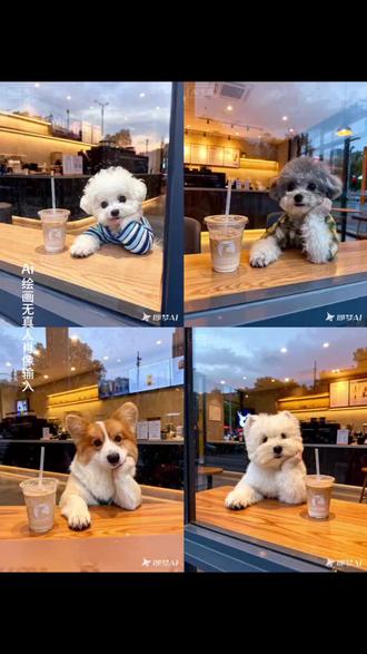 瑞幸玻璃窗宠物拍照指令和教程来啦 #狗狗瑞幸窗外拍照 #猫咪瑞幸口令 #即梦AI #瑞幸玻璃窗拍照 #拍照 瑞幸玻璃窗拍照狗狗 瑞幸玻璃窗拍照ai 瑞幸玻璃拍照瑞幸玻璃窗拍照猫 瑞幸玻璃窗教程 瑞幸玻璃窗拍照 瑞幸对镜生成 瑞幸咖啡 狗狗合照ai指令咖啡店玻璃窗外拍照指令狗 瑞幸宠物玻璃窗 猫咪咖啡店自拍 瑞幸玻璃窗拍照宠物狗狗 瑞星玻璃窗拍照AI指令 瑞幸咖啡 咖啡店玻璃窗外拍照小猫 猫咪瑞幸口令 瑞幸玻璃拍照姿势 瑞幸玻璃窗拍照小猫 瑞幸咖啡宠物 小猫P图瑞幸 瑞幸玻璃窗拍照猫咪 瑞幸玻璃拍照 瑞星咖啡宠物拍照指令 背心玻璃窗外拍照AI口令 瑞幸玻璃窗指令 猫咪自拍AI图片指令 瑞幸咖啡宠物拍照 瑞幸玻璃拍照风格 ai瑞幸窗外拍照 瑞幸玻璃窗拍照宠物 瑞幸宠物玻璃窗拍照ai指令 瑞幸玻璃拍照猫咪 ai瑞幸窗外拍照小狗 咖啡店玻璃窗外拍照小狗 猫狗咖啡店拍照 瑞幸玻璃窗拍照 瑞幸拍照生成指令 瑞幸狗狗窗外拍照 咖啡店玻璃窗外拍照指令