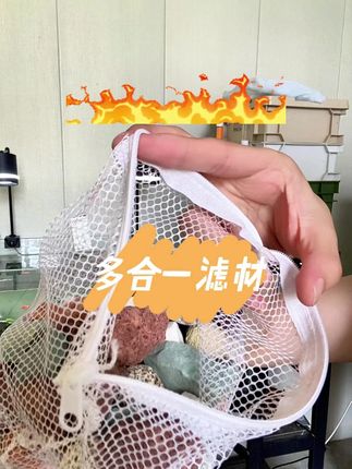 好用又实惠的多合一滤材,养出一缸好水,再也不用天天换水了! #水族 #观赏鱼 #滤材