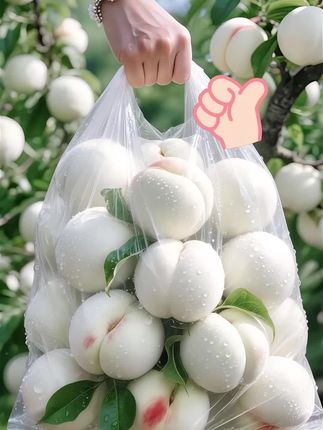 哇塞🫢!老公随便买的奶油大白桃,我一到家就忍不住吃了好几个😁,没想到居然这么好吃,你们吃过吗? 这个桃子堪称桃中“白雪公主”,刚拿到手,我就立马开箱,瞬间被它惊艳到了,浓郁的桃香扑鼻而来。这白桃的颜值超高,我简直爱死了!它果香四溢,果皮很薄,果肉很脆,吃起来脆甜脆甜的,非常爽口,而且汁水很多。随手拿起一个咬一口,雪白雪白的果肉,加上香甜的味道,又脆又甜,口感绝佳,我一下子就吃了好几个。这不就是脆桃爱好者的最爱嘛!而且这些桃子都是现摘现发的,喜欢吃脆桃的朋友,一定要尝尝! #大人小孩都爱吃 #脆甜多汁 #桃子熟了 #白桃 #图文掘金计划