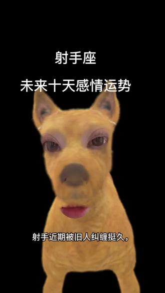 #射手座 #无不良影响纯属娱乐勿要当真 射手座未来十天感情运势分析