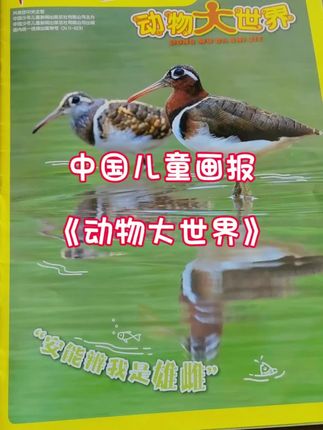中国儿童画报《动物大世界》,男孩们的最爱,里边的动物知识包罗万象,是孩子们认识大自然的一个很好的渠道。#动物大世界 #中国儿童画报 #中国儿童画报动物大世界 #可爱动物 #自然界动物