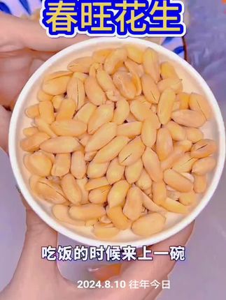 下酒菜首选春旺花生,咸香酥脆不油腻,吃了还想吃 #抖音美食推荐官 #春旺花生#花生米#下酒菜