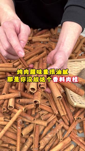 如果你炖肉不香还很油腻,试试广西原产地肉桂,真的很神奇#香料 #肉桂 #肉桂粉 #八桂香料之都 #卤肉