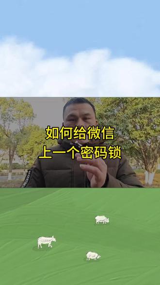 如何给微信上锁 #上热门 #手机使用技巧 #微信#微信使用小功能 #每天跟我涨知识 #创作人计划