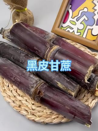 又到了吃甘蔗的季节,广西黑皮甘蔗,皮薄肉厚,脆甜多汁,大人小孩都爱吃#甘蔗 #广西黑皮甘蔗 #口感特别好#黑皮甘蔗成熟了 #广西甘蔗
