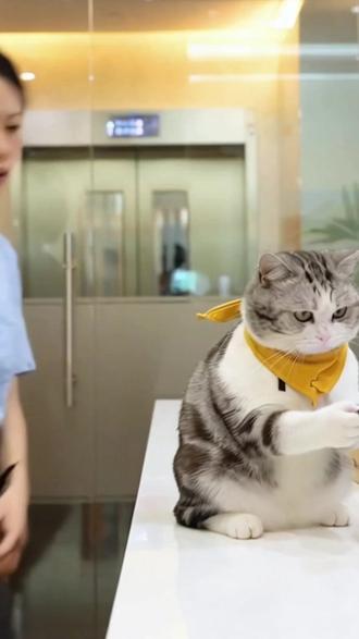 玩我的花园世界 #我的花园世界#玩游戏送真花