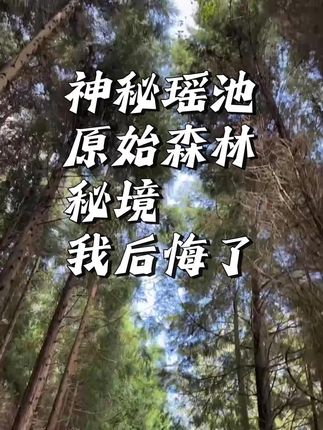 瑶池原始森林,让我后背发凉啊,还好我机智带上了它 #野外户外 #瑶池 #神秘 #原创视频 #男士必看