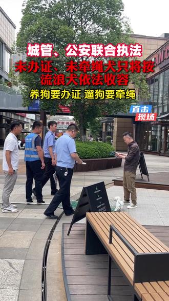 城管、公安开展联合执法行动,对未办理养犬证件、外出未牵绳的犬只,一律按照流浪犬标准依法收容。提醒市民自觉遵守规定,养狗务必办证,遛狗必须牵绳。#新治安管理处罚法 #动物防疫法 #养犬管理 #办犬证 #68宠物app