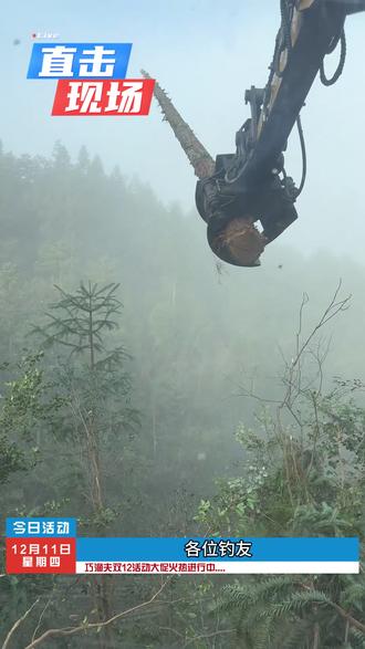 今日播报巧渔夫双12直播间福利开抢!数量不多!快去直播间! #综合竿 #龙战曜轻量 #巧渔夫 #钓鱼 #冬钓鲫鱼