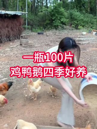 鸡鸭鹅养殖#鸡鸭鹅养殖 #鸡鸭鹅养殖方法