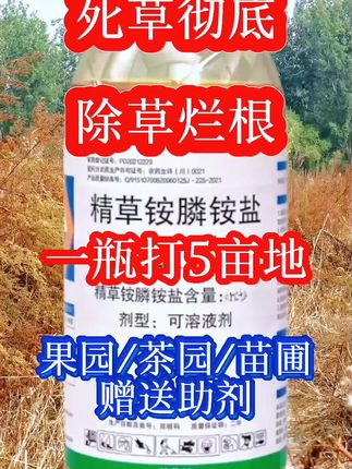 #精草铵膦铵盐#精草铵膦铵盐除草剂 #死草烂根 #抖音