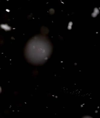 “我的回响是穿墙啊”#十日终焉 #陈俊南 #上热门