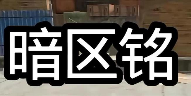 暗区突围我从海底出击语音在哪里-抖音