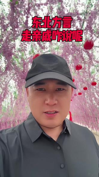 东北话你是几级?东北方言,走亲戚咋说呢?#东北方言 #东北话 #东北人自带幽默感 #涨知识 #口播视频