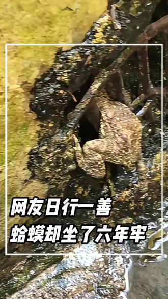 网友日行一善,蛤蟆却坐了六年牢