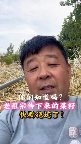菜籽可以榨油,但是现在全是高产改良种,还有多少人在守老传统?支持乡土传承的,点赞转发,别让老种子消失!#种子 #传统榨油 #口播视频 #乡土 #菜籽