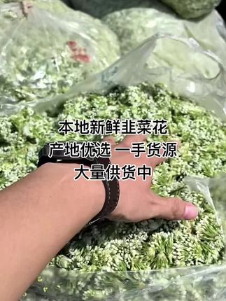 #新鲜采摘 #韭菜花 #家乡特色 #我为家乡农产品代言 #新࿆鲜࿆采࿆摘