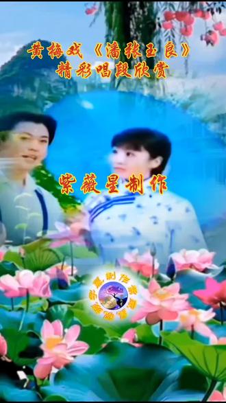 黄新德韩再芬演唱黄梅戏《潘张玉良》画荷。 #潘张玉良 #黄梅戏经典唱段 #荷花池畔的浪漫时光