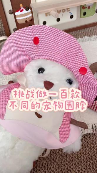 今天你吃苹果了嘛🍎#热点 #教程分享给大家参考 #宠物口水巾