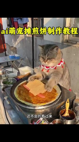 猫咪摆摊做煎饼果子ai特效教程 萌宠做煎饼ai猫咪做煎饼特效 猫咪做煎饼ai 猫咪做薄饼 煎饼果子猫咪版 #ai煎饼摊的制作日常 #猫咪摆摊 #煎饼果子 #小猫摊煎饼#剪映 猫咪美食制作