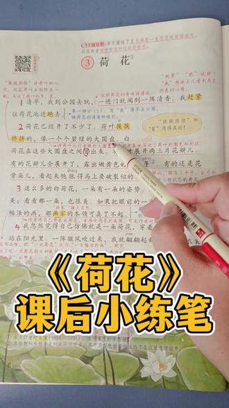 三下《荷花》课后小练笔,同学们都学到哪里啦~#小学生作文 #小学语文 #三年级语文 #荷花