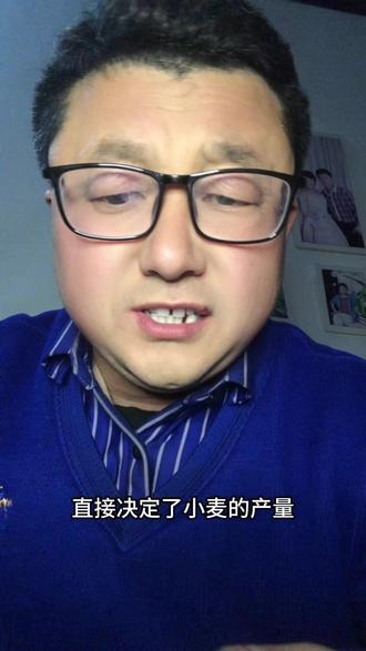 小麦高产很简单,苄氨烷醇用过关。
两个时期掌握对,轻松增产笑开颜。
#小麦高产技术 #三农流量扶持计划 #苄氨烷醇 #小麦亩产量 #小麦高产秘诀