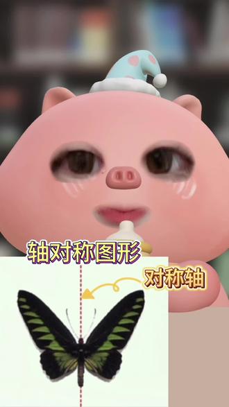 孩子超级容易混淆,看一遍就能明白#数学思维 #小学数学